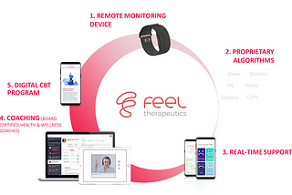 Frontiers in Digital Health Publication Presents Feel Therapeutics Program as a New Strategy for…