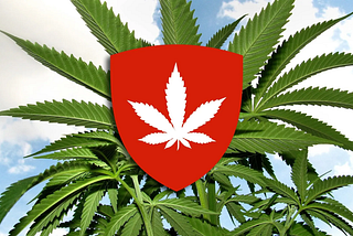 Hanftheke Bern: A Review of Switzerland’s Premium Cannabis Dispensary