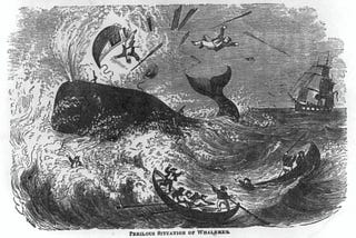 1861 wood print of a whale smashing the heck out of some whaling boats