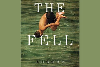 The Fell by Robert Jenkins