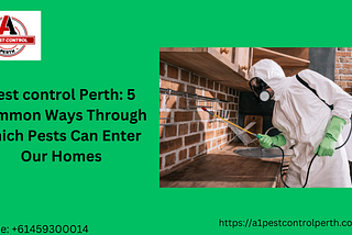 Pest control Perth: 5 Common Ways Through which Pests Can Enter Our Homes