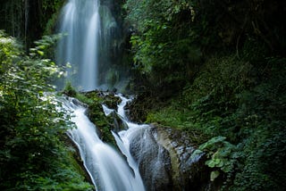 A Cascade in a Dense Forest