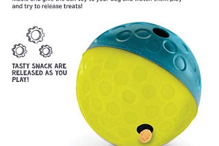 Engage and Delight your Dog: