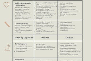 Capacities and Capabilities for Systems Change