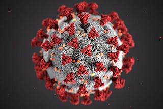 A Novel Coronavirus 3D computer image | Photo by CDC on Unsplash