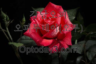 부천건마번호 】〉OPTODAY3 『신사휴게텔 』 신사여관바리 신사키스방 신사출장 신사립카