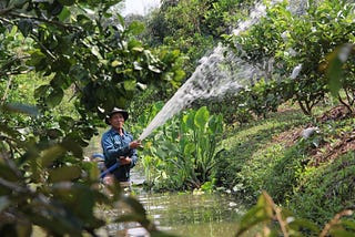 Data exposes flaws in Mekong Delta resilience plans