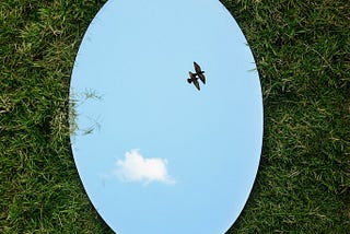 A grass field  displaying an oval mirror placed on its surface that has captured  clear blue sky with a pair of birds and a cloud looks like fluffy white cotton-ball in it.