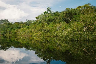 A COP30 Report