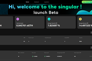 Singular Beta Testnet Guide