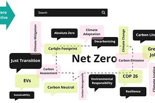 Critiquing the Net Zero status quo