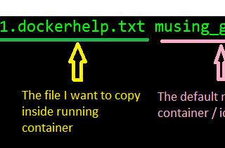 Copying files To &From Running Docker Container.