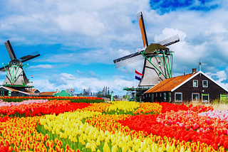 A Quick Look At 2 Dutch Dividend Stocks