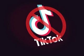 my country’s reaction to the TikTok ban frightens me