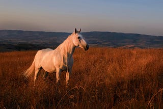 This Will Fundamentally Change the Way You Look at Racehorse Ownership