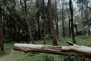 sialan.