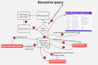 DNS
