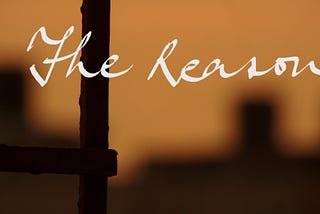 The Reason