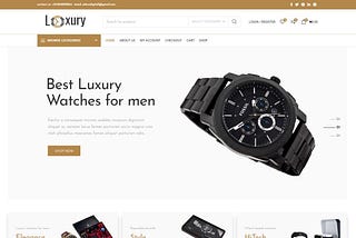 Launching an ecommerce website