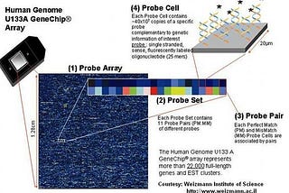 3. Preprocessing Microarrays Data