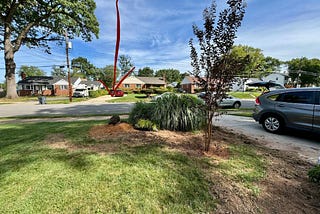 How a Bad Tree Day Blossomed Into a Pollinator Paradise