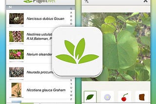 PlantNet and The Importance of User Contribution