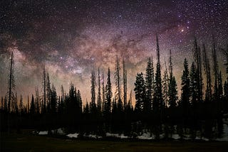 Milky Way and Trees