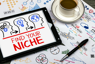 What is Niche Marketing and Why It is Important for Your Business