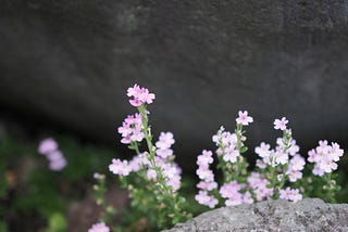 may we heal from the things we don’t tell anyone