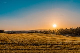 Sun Continues To Shine On Farmland Outlook