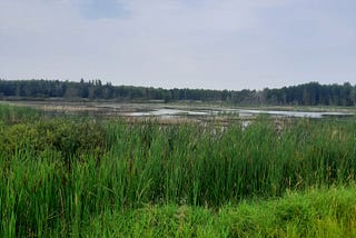 Day 41 — Fosston to Grand Rapids MN