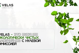 Velas — это будущее экологически чистых блокчейнов с нулевой эмиссией
