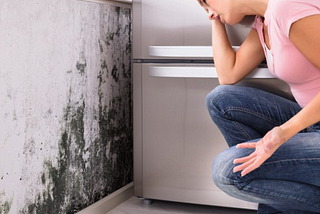 Mold Removal: Restoring Your Home and Peace of Mind