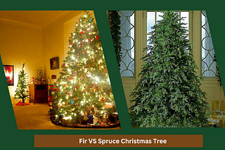 What is the Differences between Spruce Vs Pine and fir Artificial Christmas Tree