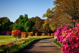 An Introduction to Different Kinds of Gardens