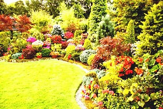 We-the Best Choice to Hire the Exceptional Landscapers Near Me