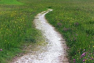 Trust The Journey