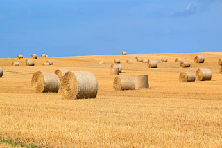 Making Hay
