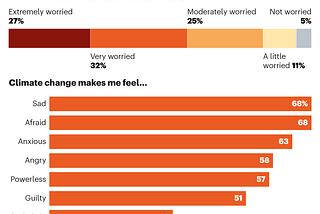 What Roles can the Youth play in fighting climate change?