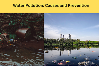 Water pollution: causes, effects, and solutions