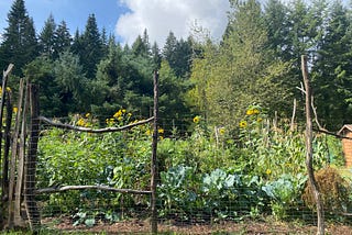 Homesteading: Two and a half months on a small organic farm in Oregon