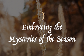Transitioning to the Dark Half: Embracing the Mysteries of the Season