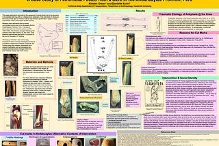 You Don’t Have a Leg to Stand On:A Case Study of Femo-tibial Fusion from a Cave in the Andahuaylas…