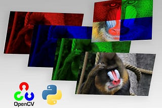 Computer Vision with OpenCV and Python to Transform Images