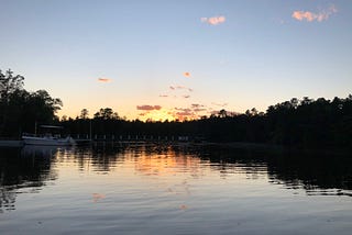 A Love Letter to the New Jersey Pine Barrens