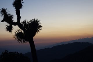 The Sound of Silence — Joshua Tree National Park