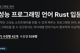 Rust를 업무용 언어로 쓰다