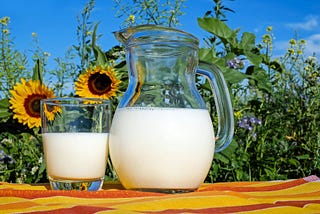 Cow Milk Is a Rich Source of Vitamin