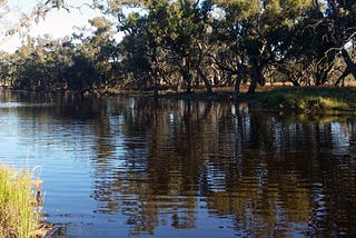 Solving the wicked problems of the Murray Darling Basin