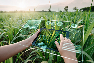 The Impact of AI on Agriculture: Precision Farming and Crop Management